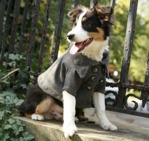 Pea coat for dogs by RoverDog